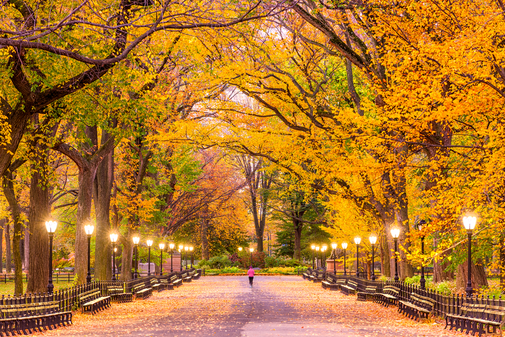 Central Park - Photo Credit: Sean Pavone/Shutterstock