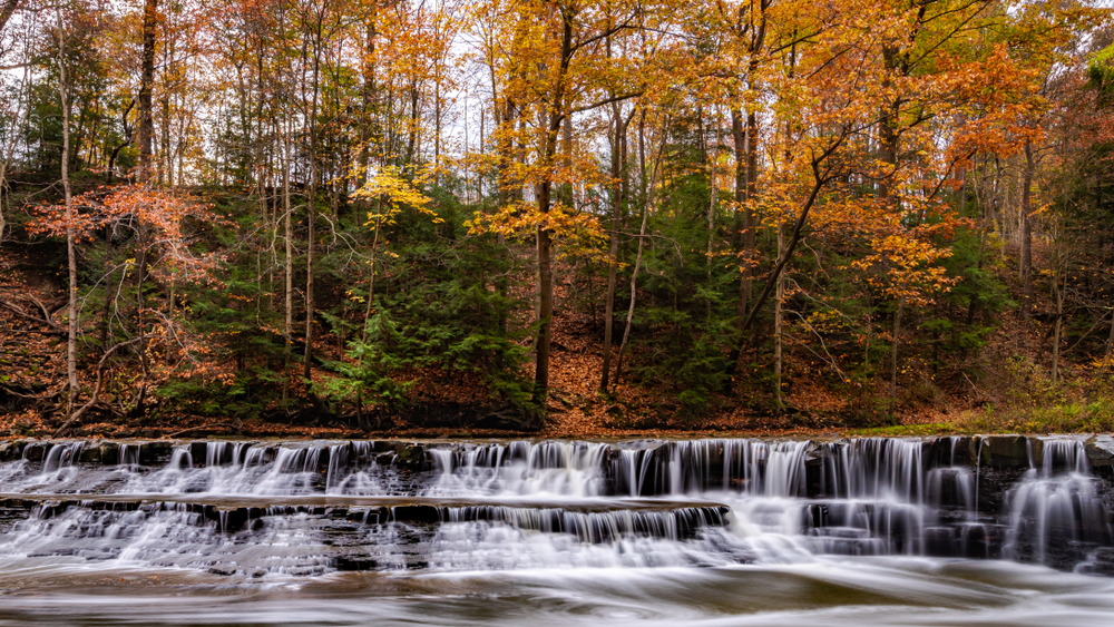 Photo Credit: thanasarn/Shutterstock