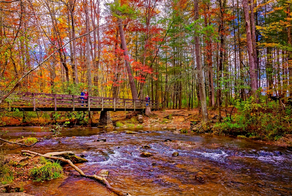 Great Smoky Mountains National Park - Photo Credit: Carmen K. Sisson/Shutterstock