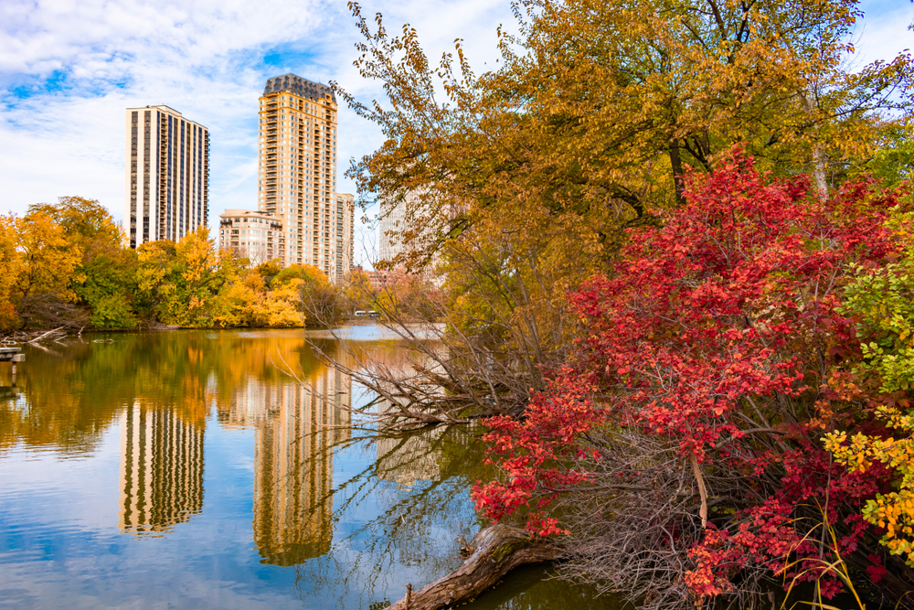 Lincoln Park - Photo Credit: James Andrews1/Shutterstock