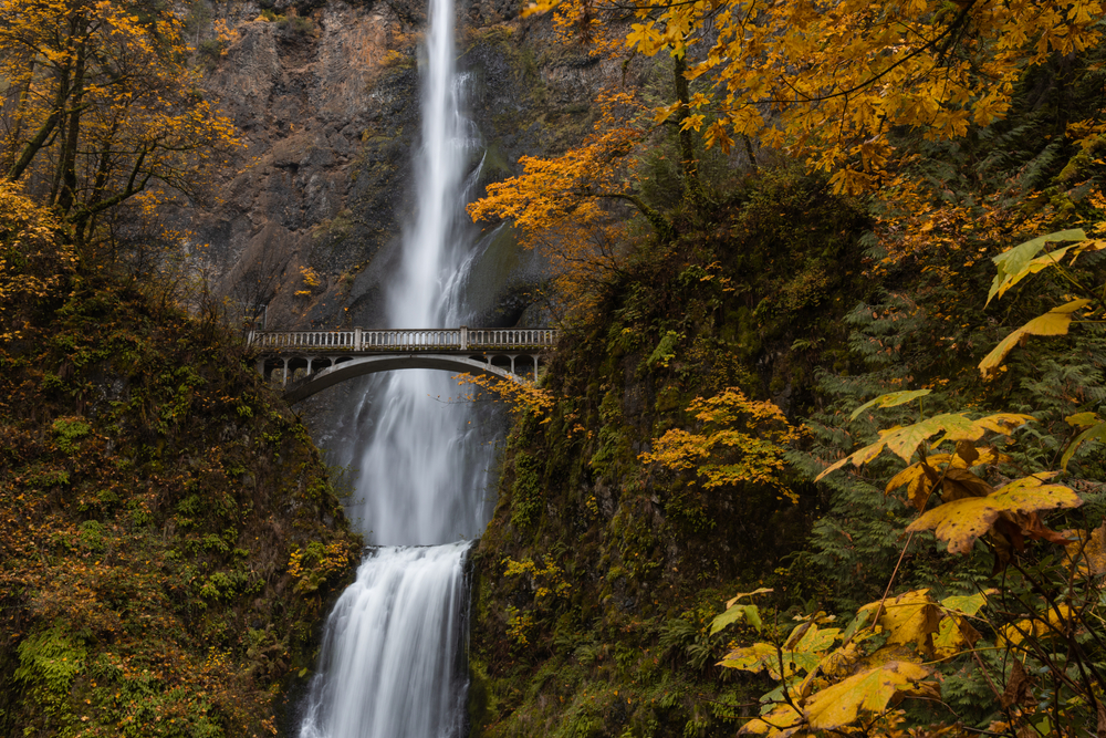 Multnomah Falls - Photo Credit: Nicholas Steven/Shutterstock