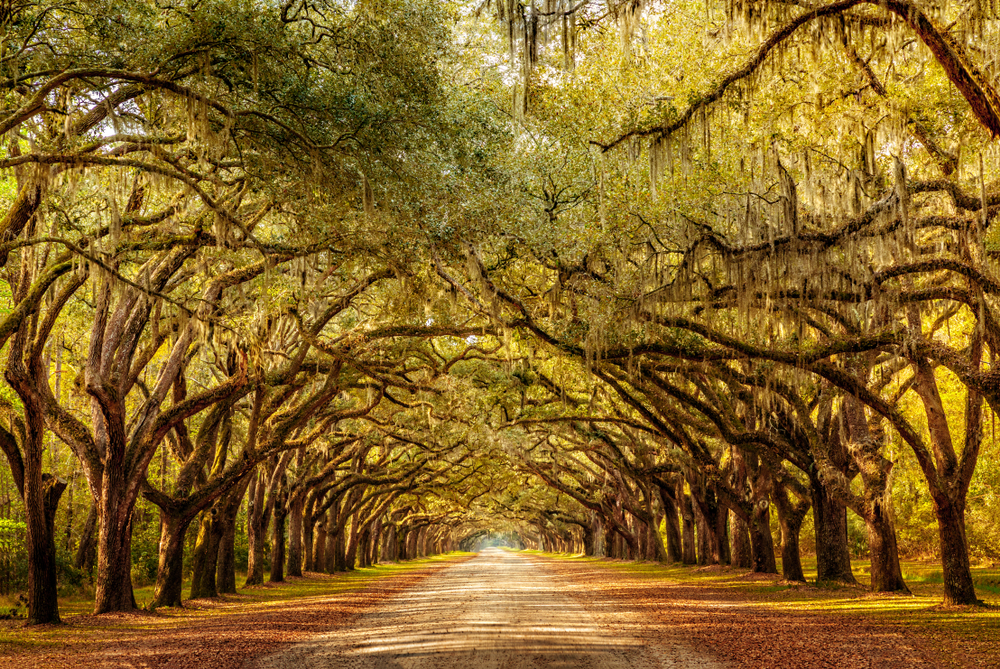 Photo Credit: Martina Birnbaum/Shutterstock
