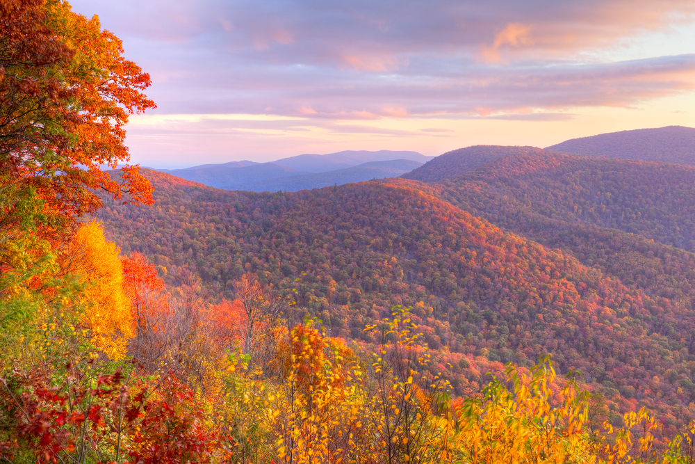 Shenandoah National Park - Photo Credit: LHBLLC/Shutterstock