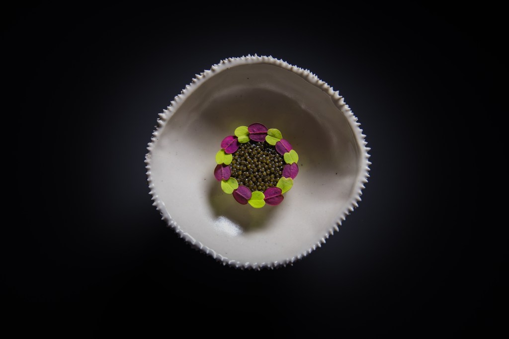 Example Plating - King Crab Caviar