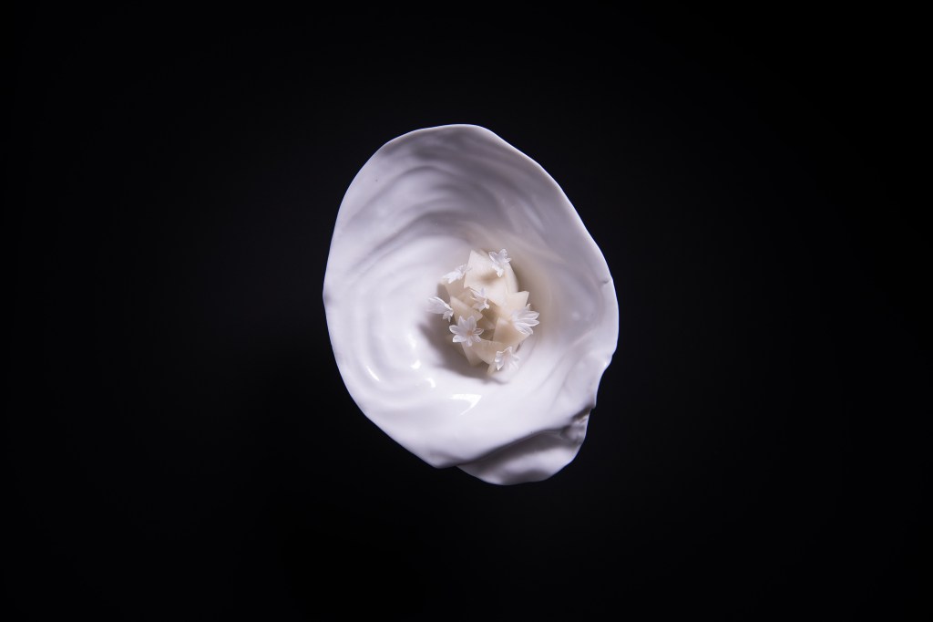 Example Plating - Oyster & Turnip