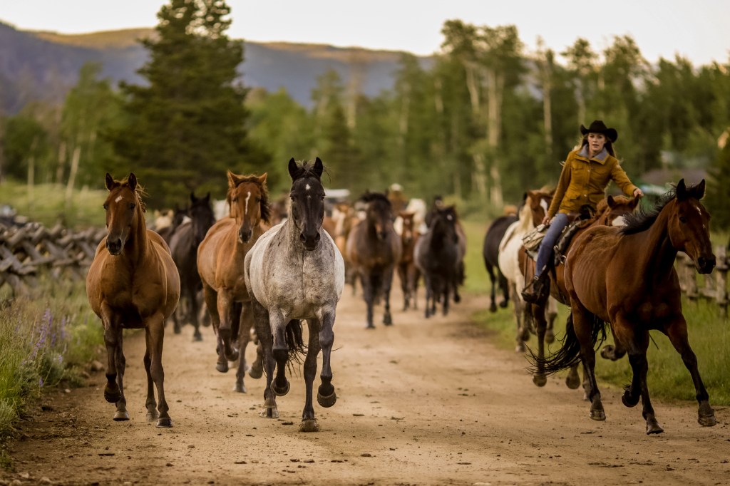 Horses and cowboy on a scenic ranch trail at Rawah Ranch, an SLH Hotel in Colorado